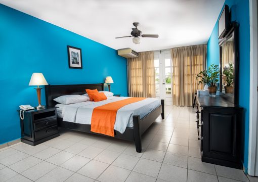 Single room with king bed