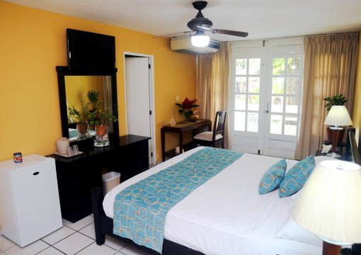 Single room with queen bed