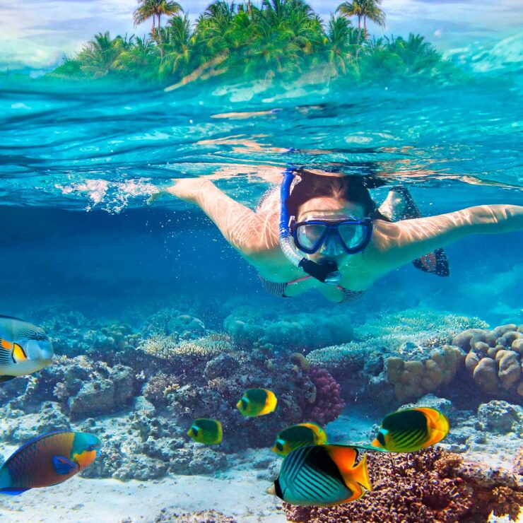 Adrenaline Junkie’s Guide to Sosua: Top Adventure Tours and Activities