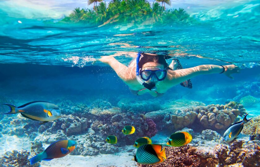 Adrenaline Junkie’s Guide to Sosua: Top Adventure Tours and Activities