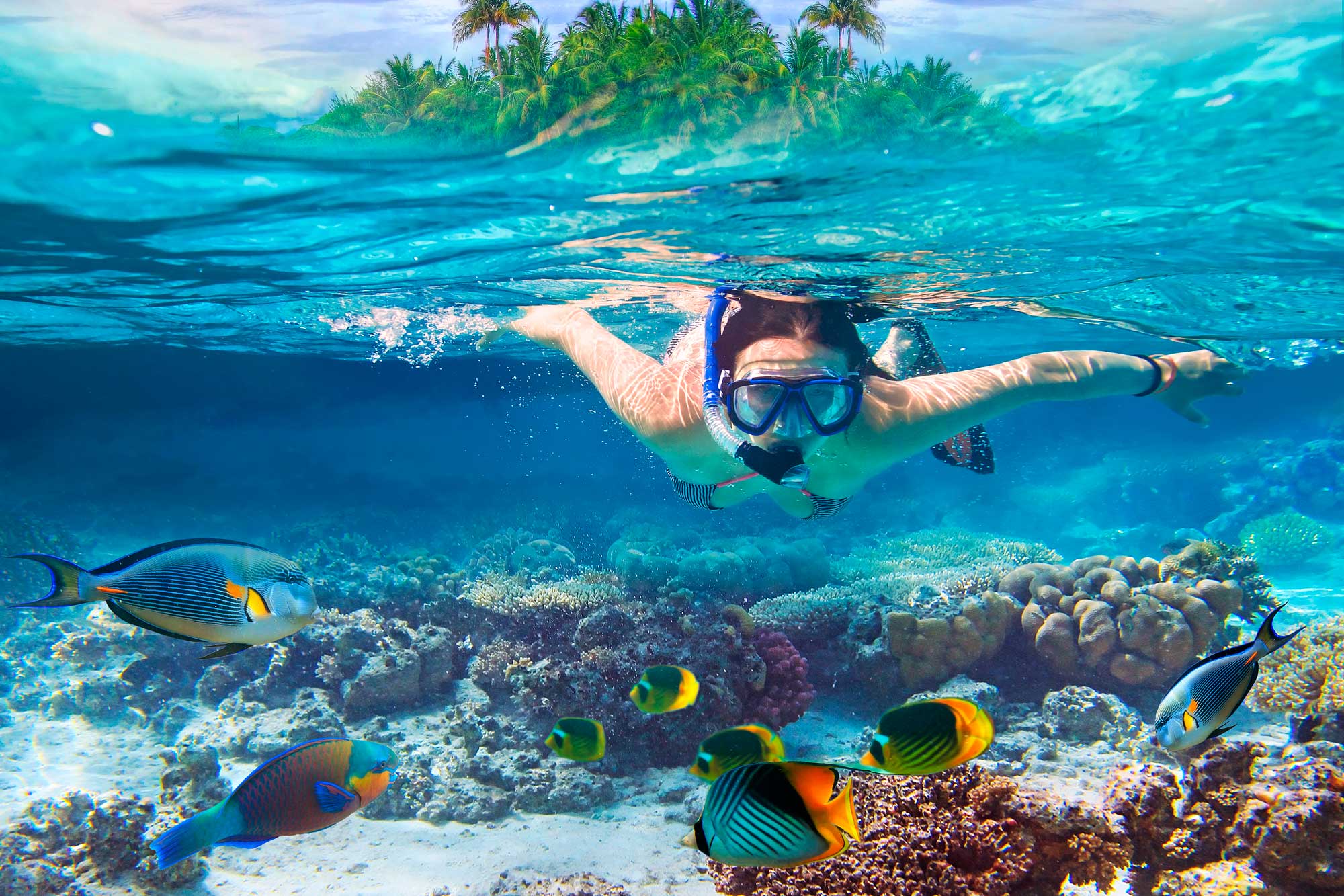 Adrenaline Junkie’s Guide to Sosua: Top Adventure Tours and Activities
