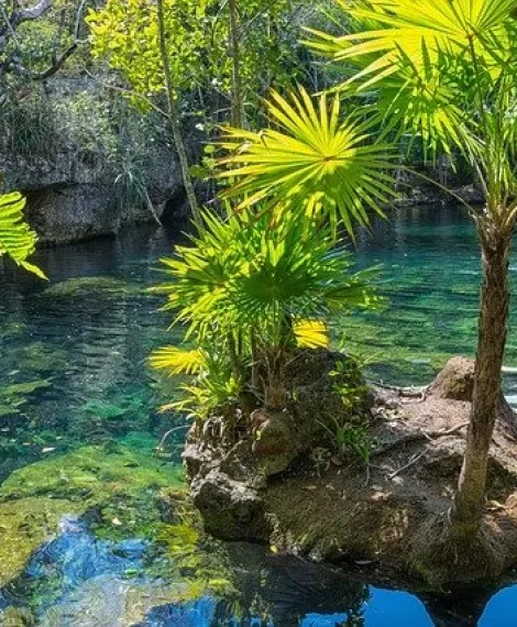 cueva El Choco National Park
